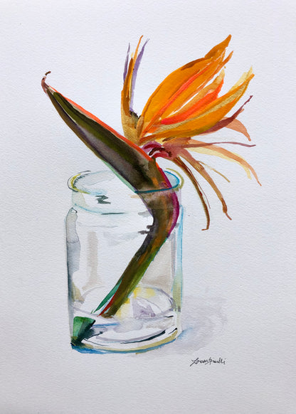 Bird of Paradise