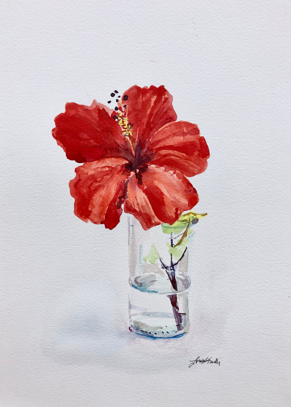 Red Hibiscus in a Jar